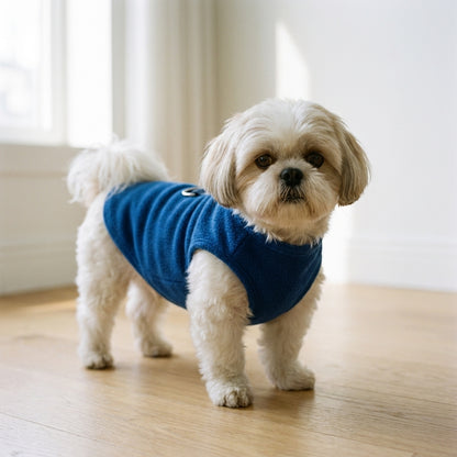 Small dog wearing a blue no-pull fleece vest getting prepared to go in the canadian winter
