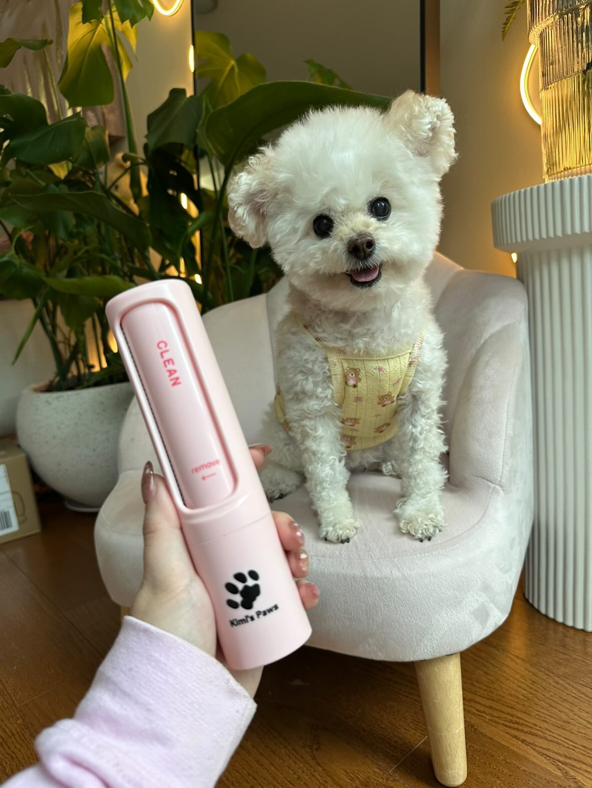 Slide & Clean Fur Remover - Easy to use and sleek design