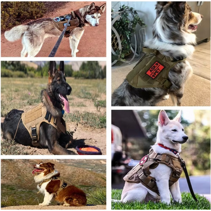 Tactical Dog Harness Vest – Heavy-Duty K9 Training Gear with Control Handle