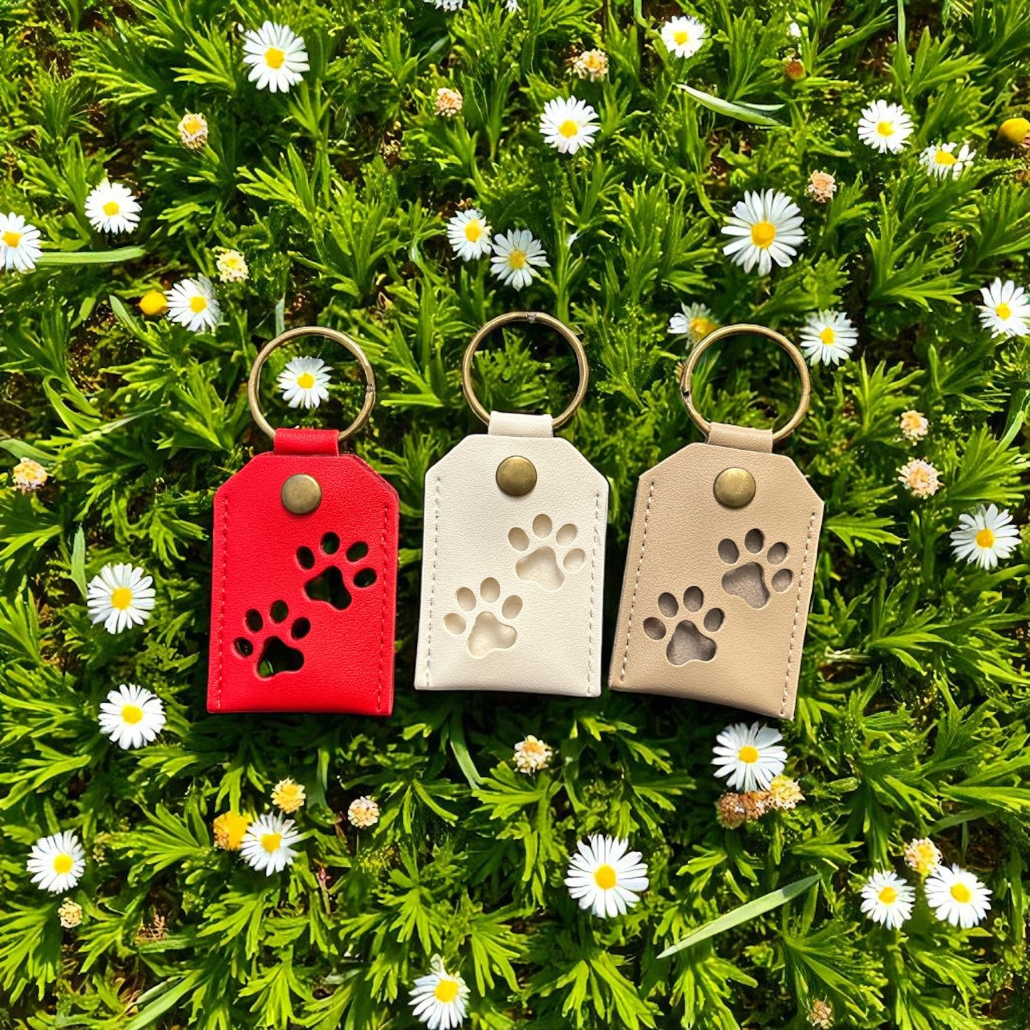 Pet Paw Keepsake Keychain & Fur Storage – Sentimental Memorial Charm