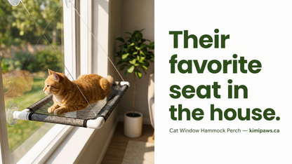 Cat Window Hammock Perch – Breathable Mesh Suction Cup Bed & Sunbathing Seat