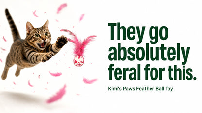 Kimi's Paws Feather Ball Toy — cat jumping to catch the pink feather ball