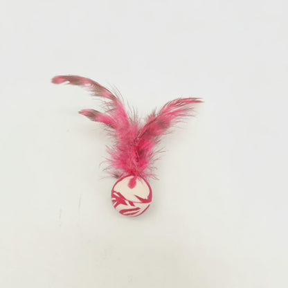 Kimi's Paws Feather Ball Toy — product video