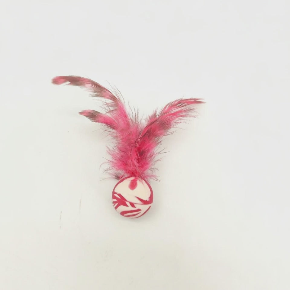 Kimi's Paws Feather Ball Toy — product video