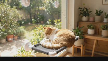 Cat Window Hammock Perch – Breathable Mesh Suction Cup Bed & Sunbathing Seat
